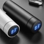 Temperature Display Water Bottle